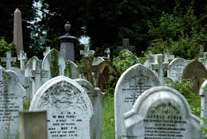 Friedhof/cemetery